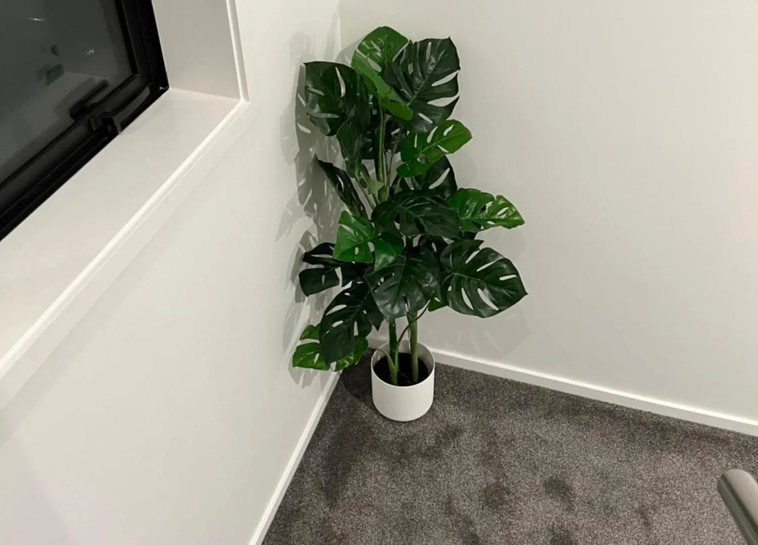 3Mins To Hospital & Hagley Park Apartment Christchurch